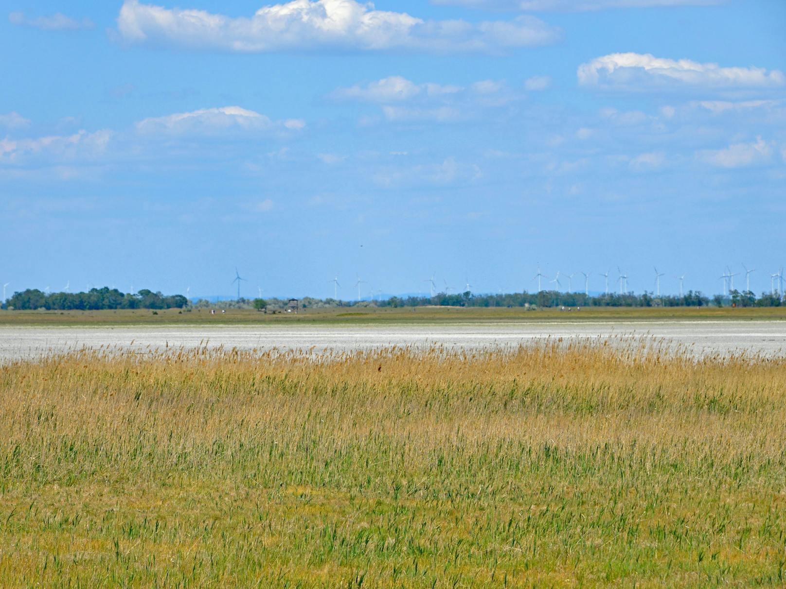 Seewinkel, Burgenland. Trockenheit sowie ein sinkender Grundwasserspiegel lässt die Lange Lacke&nbsp;im Nationalpark Neusiedler See austrocknen.