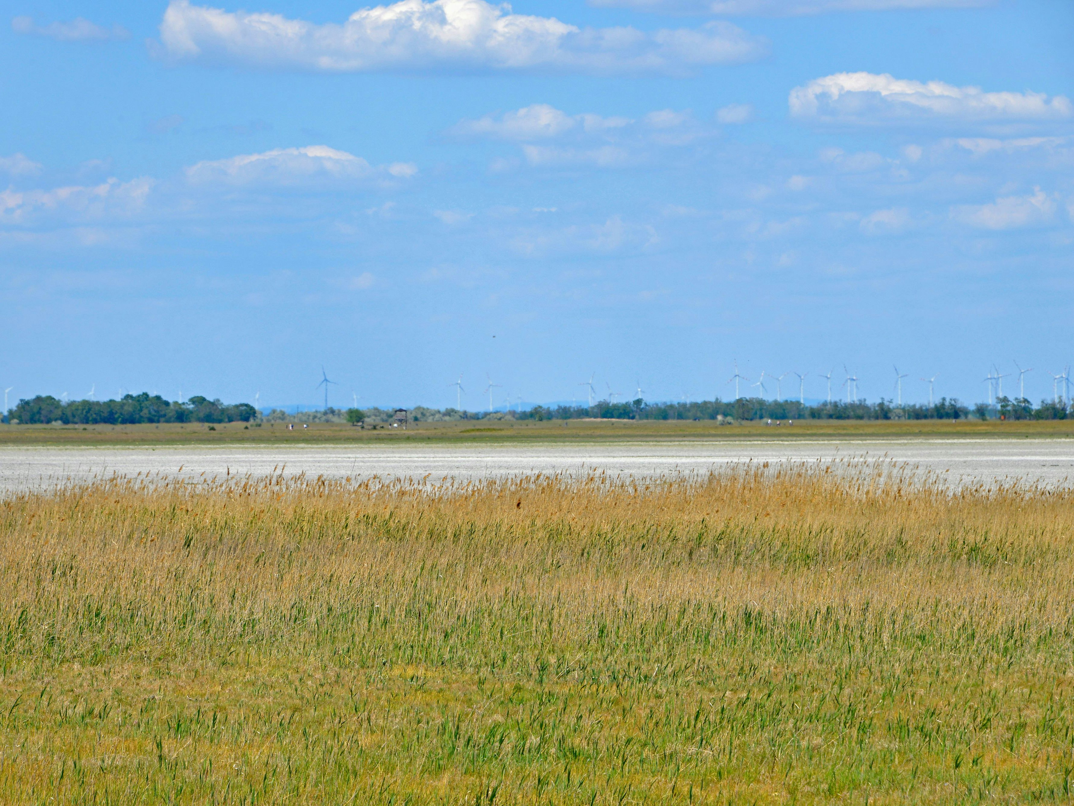 Download von www.picturedesk.com am 14.03.2022 (19:35).  Am Rundweg Lange Lacke im Nationalpark Neusiedler See - Seewinkel, Landschaft, Frühjahr, Frühling, Burgenland, Österreich. Die ausgetrocknete Lange Lacke. Trockenheit, sinkender Grundwasserspiegel . - 20200521_PD9844 - Rechteinfo: Rights Managed (RM)
