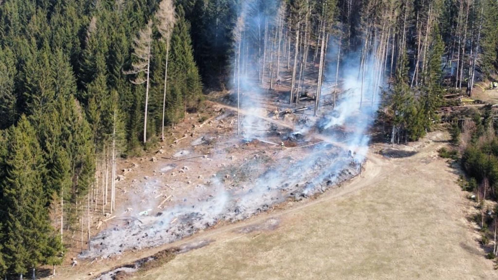 Großeinsatz bei Waldbrand in Frankenfels