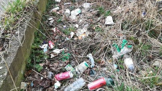 Die Gruppe will zeigen, wie schlimm die Verschmutzung ist. Und sie organsiert Müllsammeltouren.