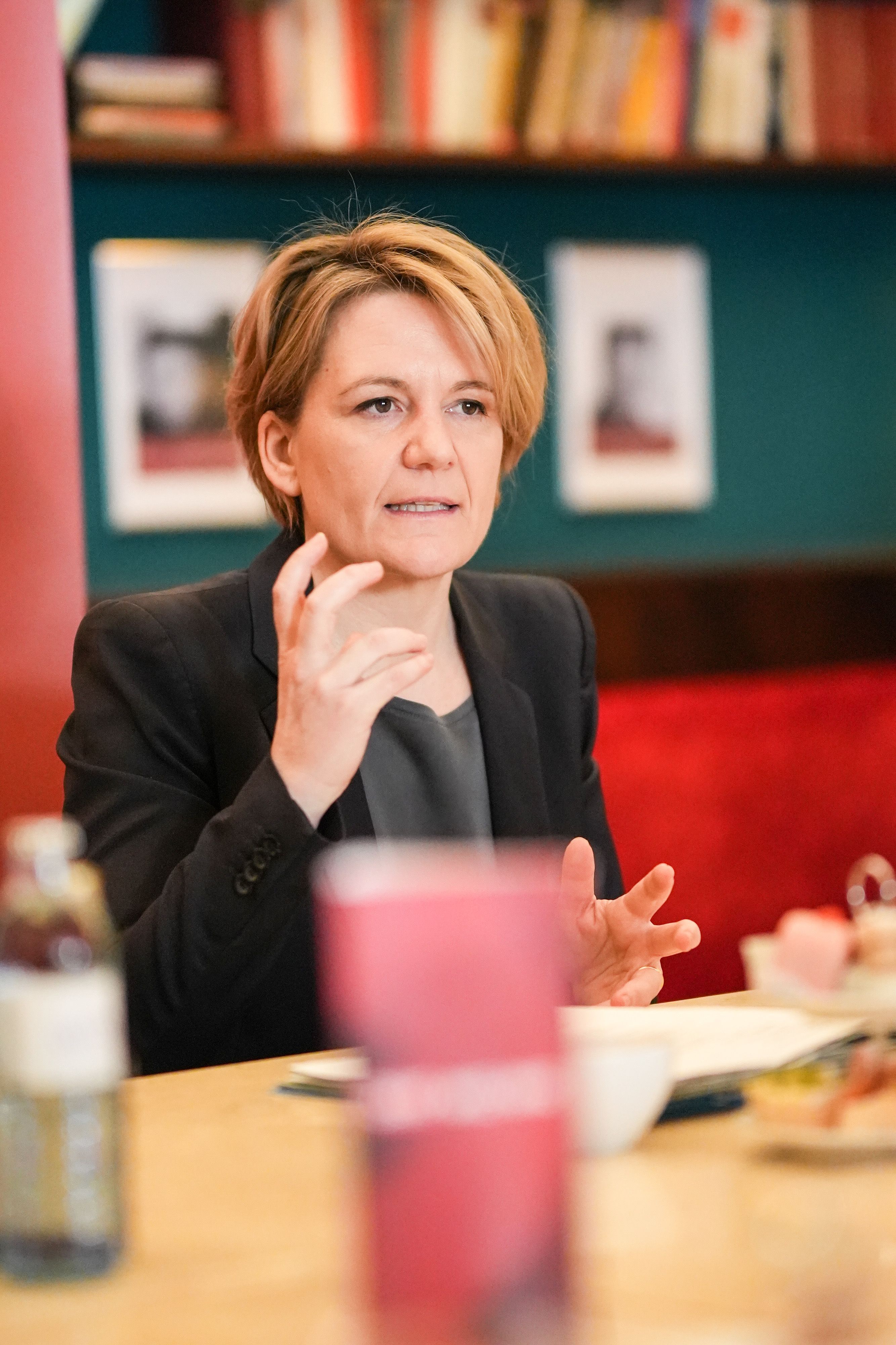 Stefanie Groiss-Horowitz