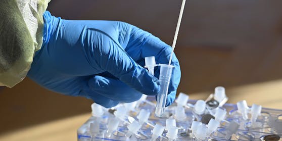Burgenlands PCR-Testcontainer schließen&nbsp;