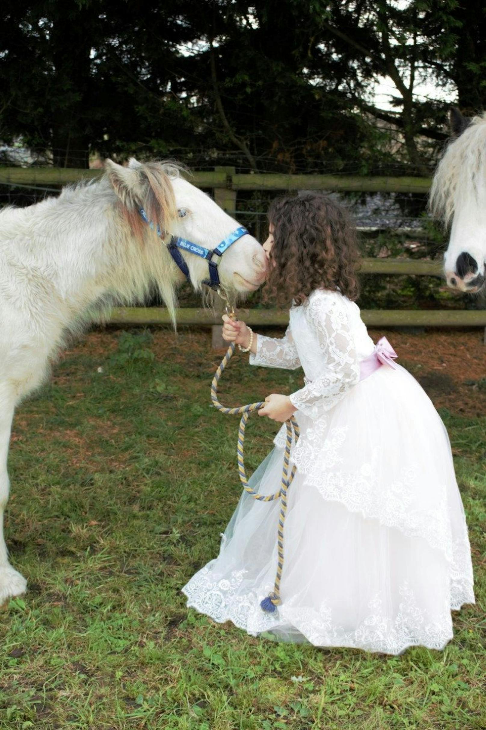 Die kleine Evie verliebte sich in Stan auf den ersten Blick und bettelte solange, bis ihre Familie bereit war das arme Pony aufzunehmen. 