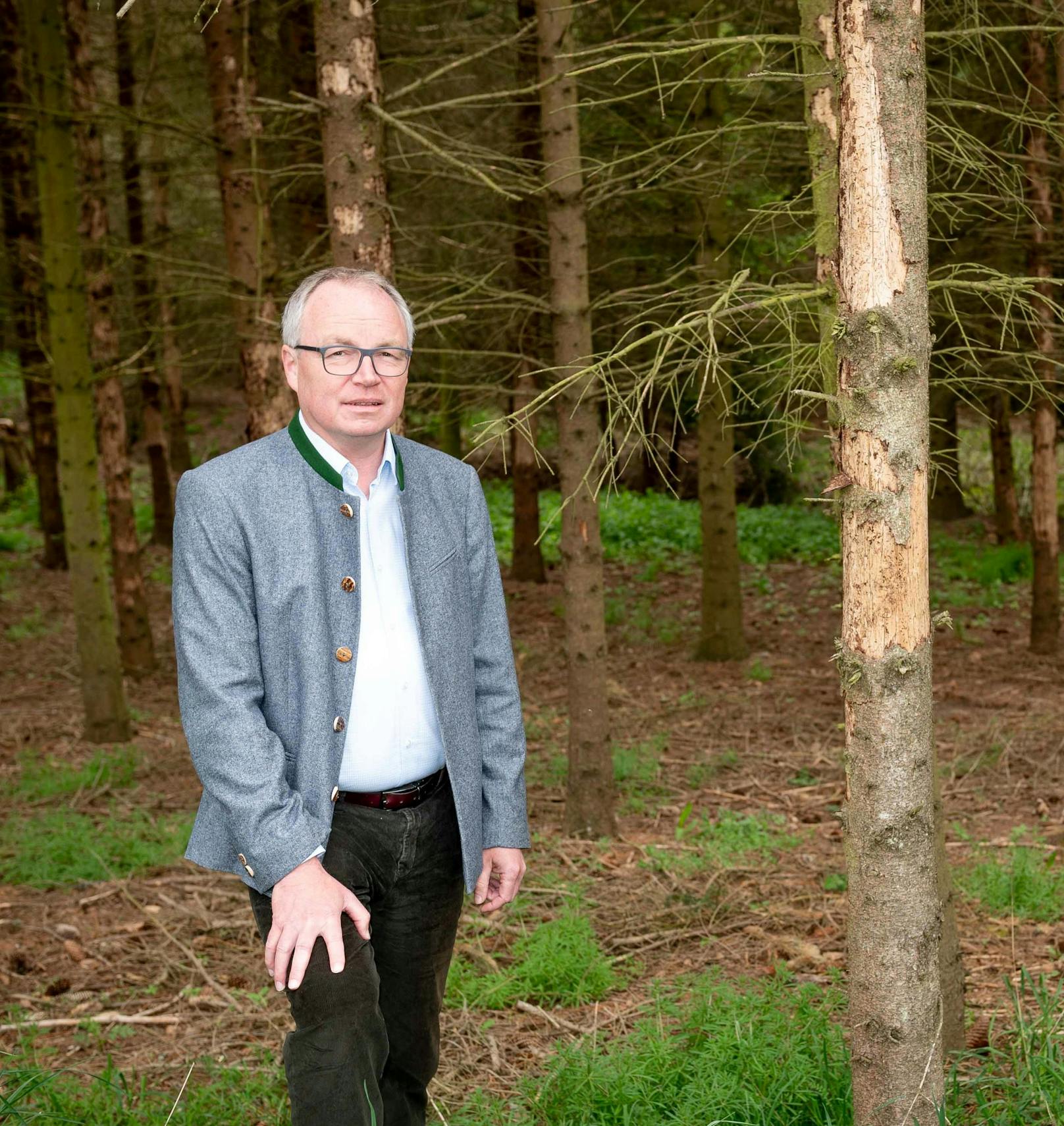 Landesvize Stephan Pernkopf mahnt: "Hirn einschalten im Wald!"