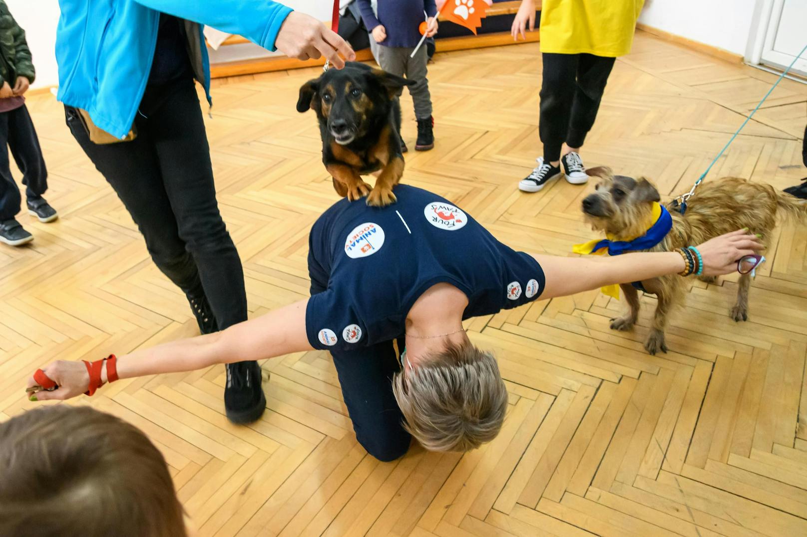 „Viele der Geflüchteten können es gar nicht fassen, dass sie gratis versorgt werden, und sind unendlich dankbar. Aber das Schönste ist es zu sehen, wie unsere Hunde die Kinder ablenken und trösten können. Es bestätigt uns wieder in unserer Überzeugung, dass gelebter Tierschutz immer auch Hilfe für den Menschen bedeutet“, meint Tierärztin Anca Tomescu.