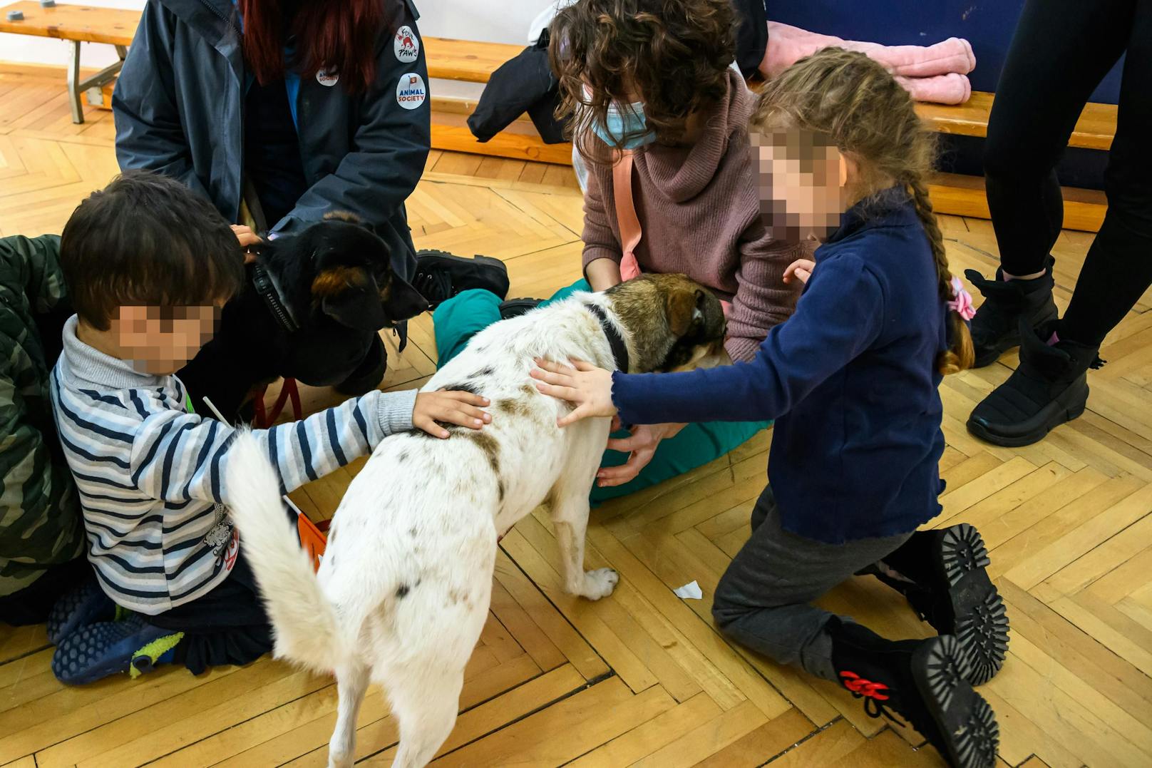 Die "Animal Society" hat sich in Bukarest für Flüchtlingskinder der Ukraine etwas tolles ausgedacht. 