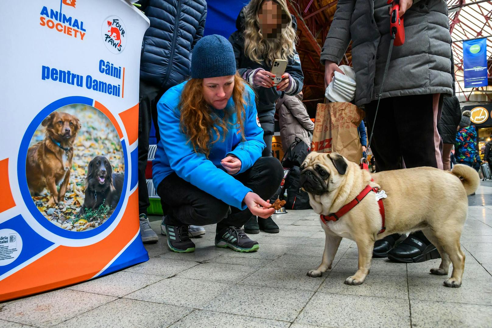 Wir haben gemeinsam mit dem Dachverband Tierschutz 2.0 die "Regeln" für die Einreise mit Haustieren aufgelistet - diese findest du <a href="https://www.heute.at/s/tollwut-tiere-aus-der-ukraine-das-sind-die-regeln-100195474">HIER</a>