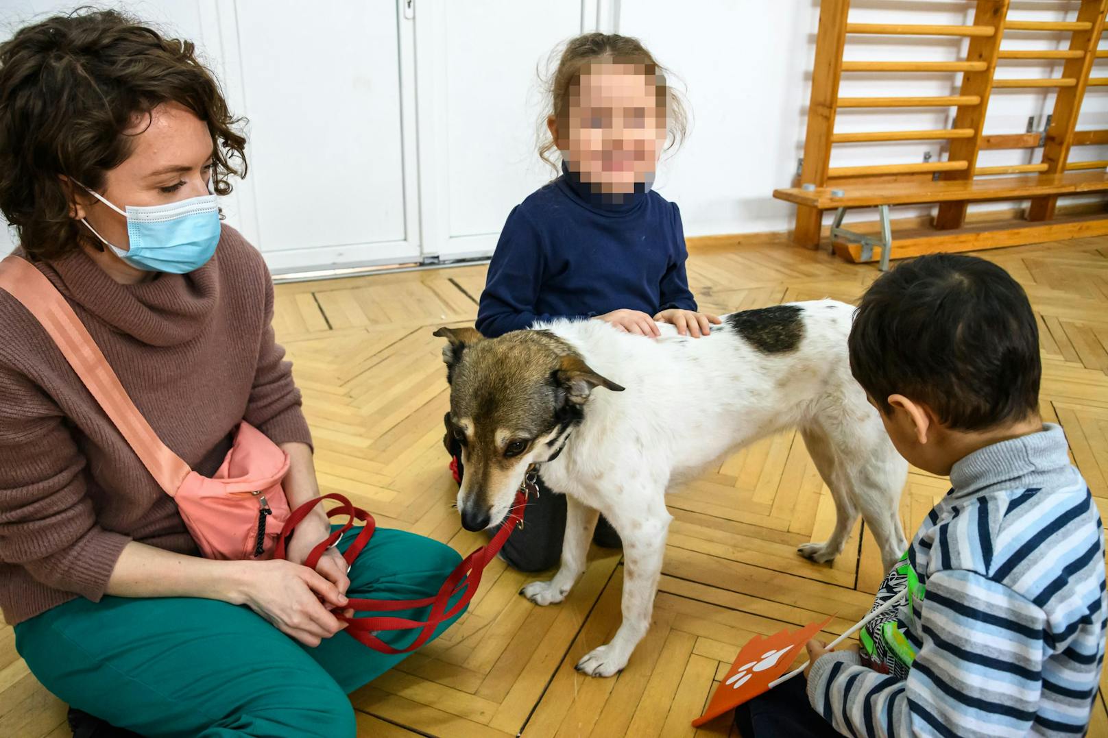 Zwei Mal pro Woche können die Flüchtlingskinder hier sogar mit den ehemaligen Streunerhunden, die speziell trainiert wurden, spielen. 