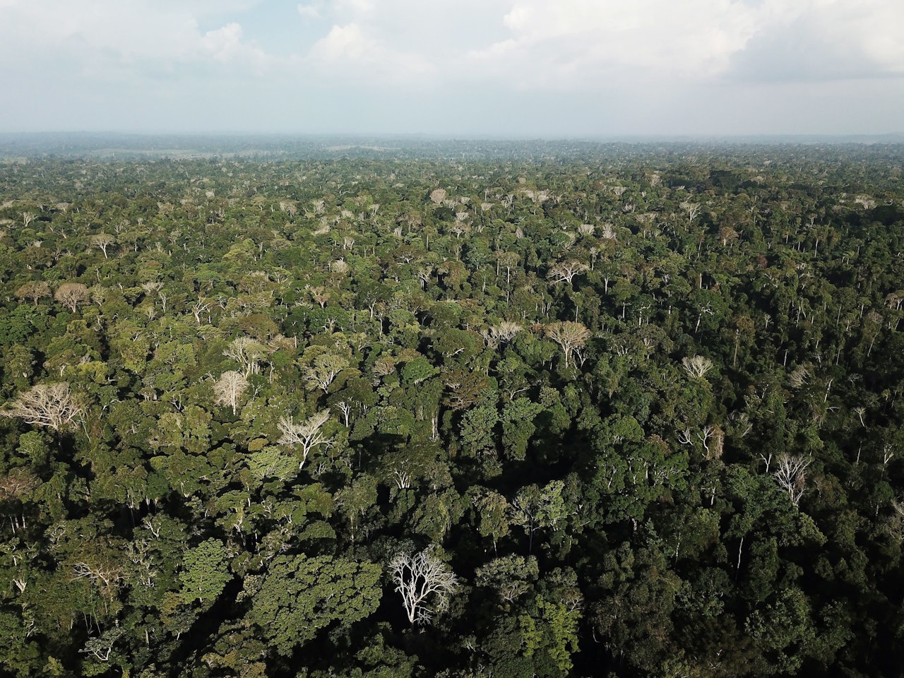 Heute.at - Kinder überlebten einen Monat alleine im Amazonas