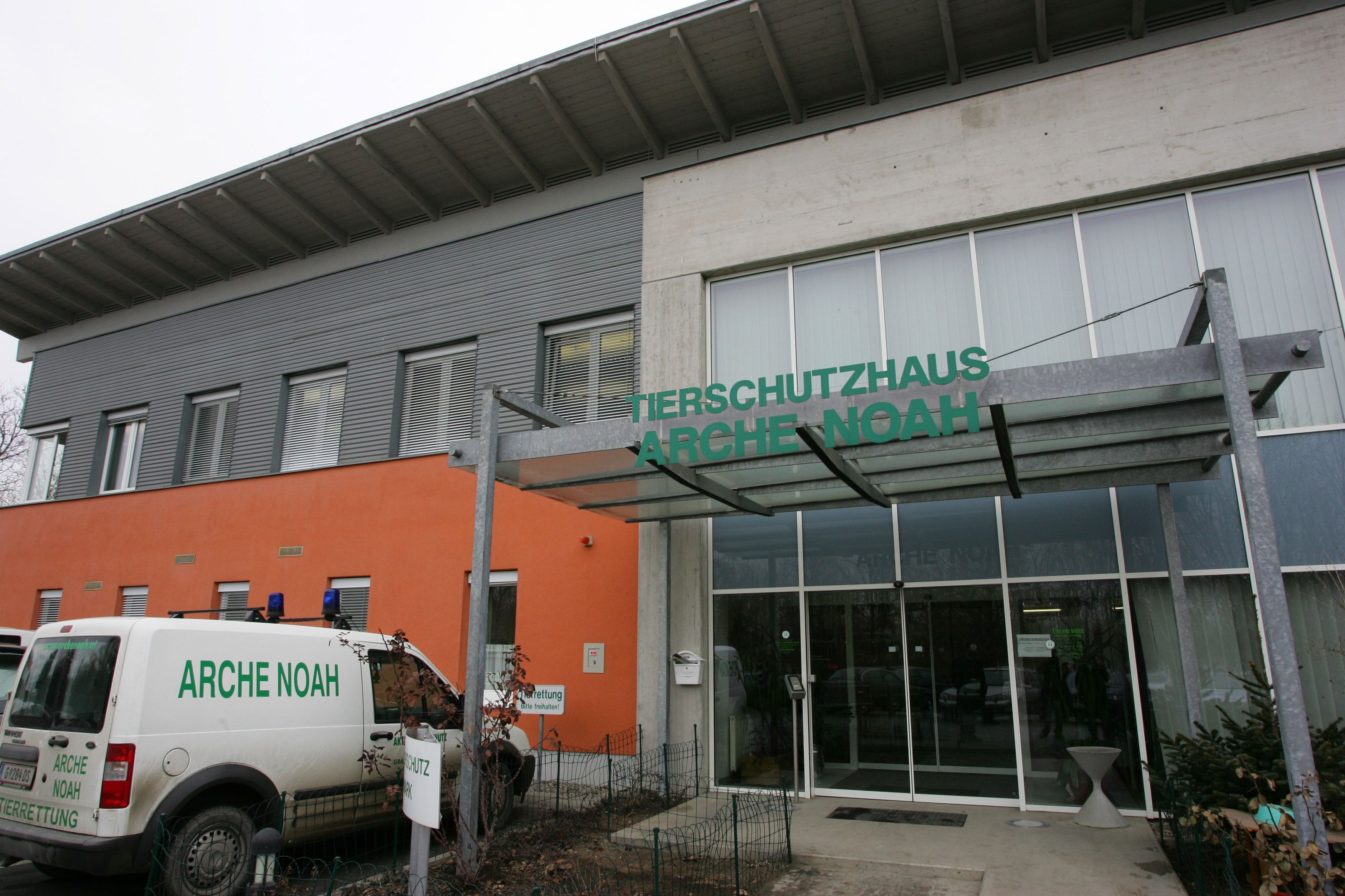 Die Arche Noah in Graz wird gerade großflächig umgebaut, weshalb man vorübergehende Plätze für die Schützlinge sucht.