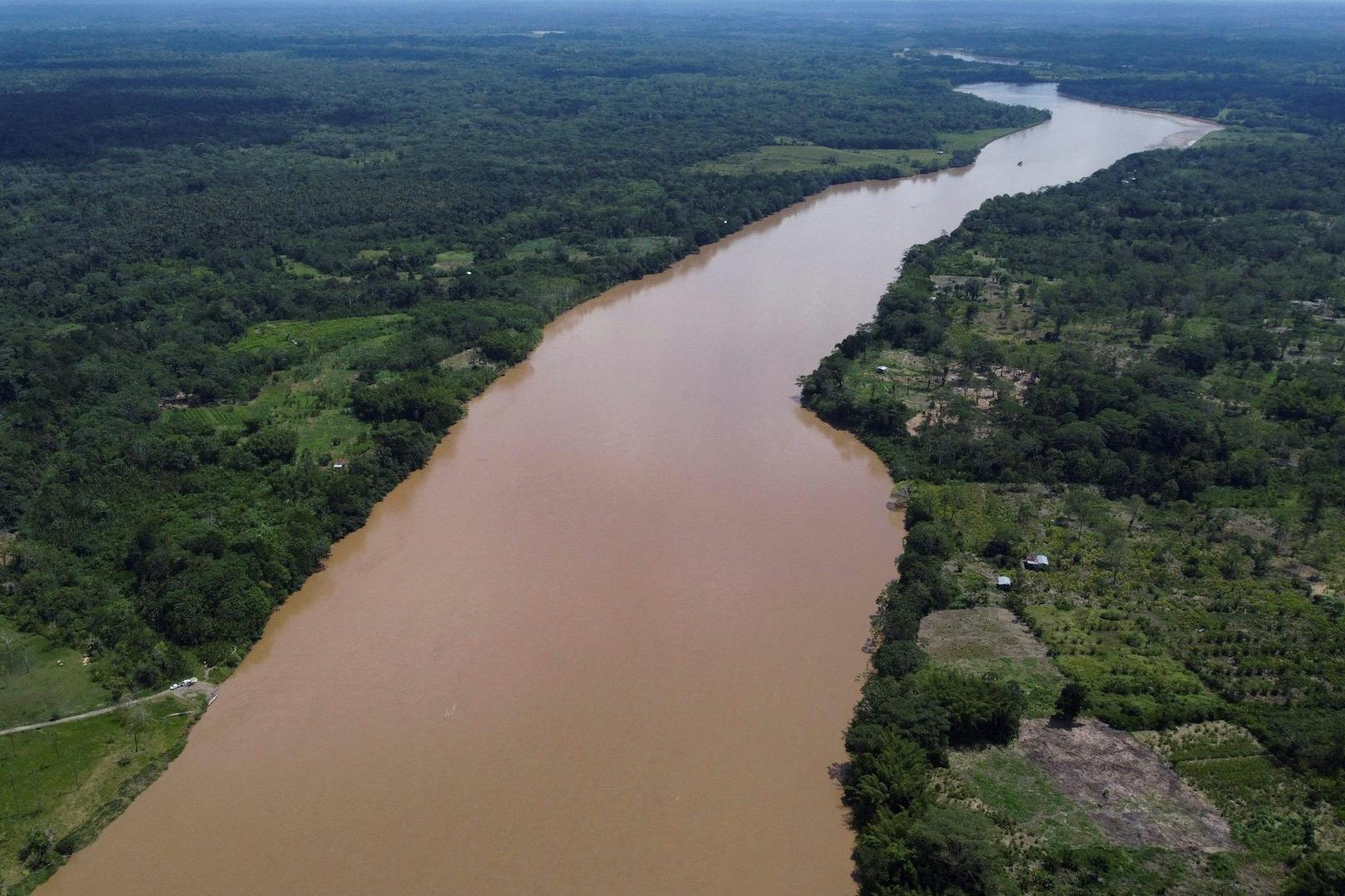 Mann überlebt einen Monat allein im Amazonas-Regenwald
