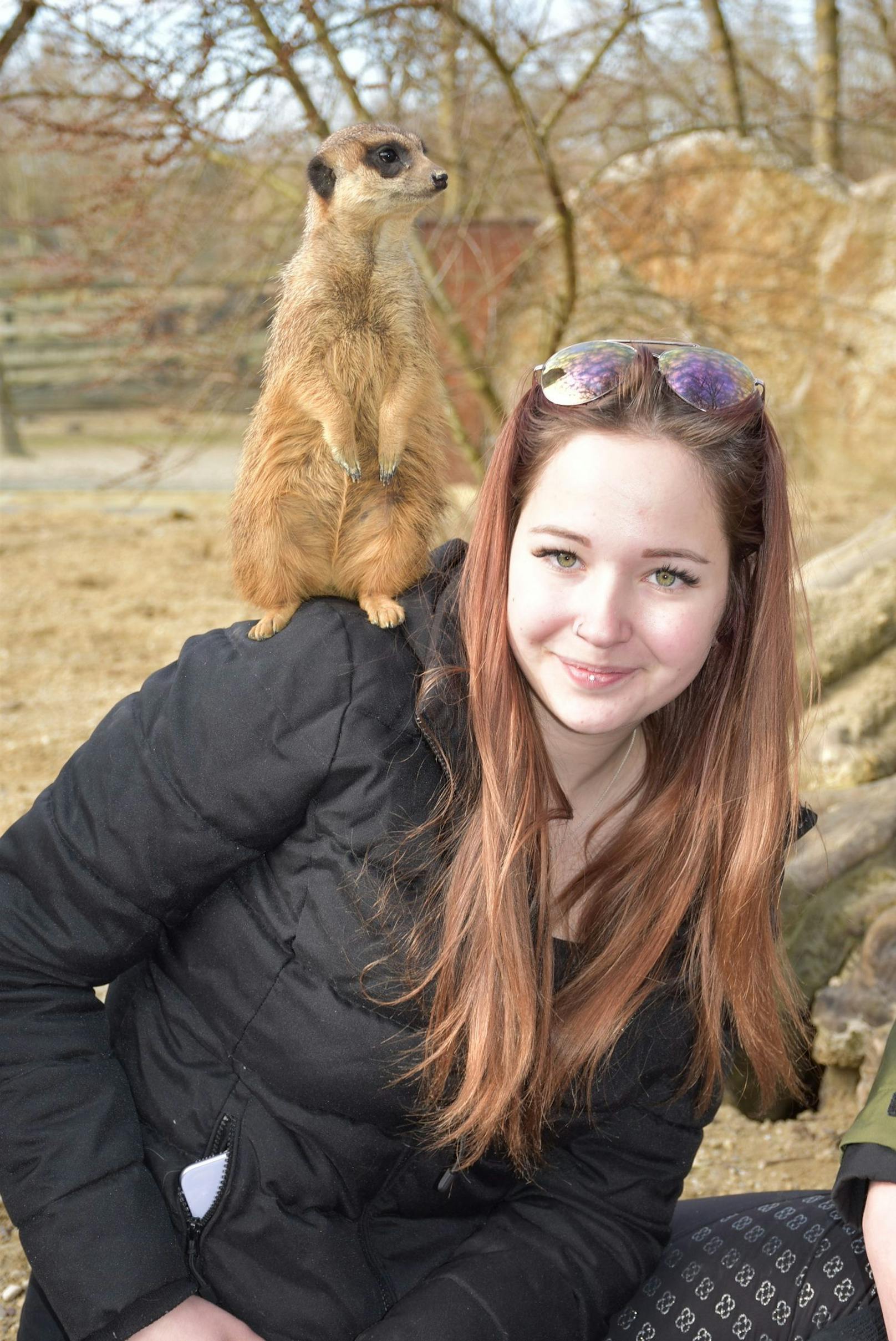Larissa Plachy vom Naturpark Buchenberg schaute auch schon bei den Erdmännchen vorbei.