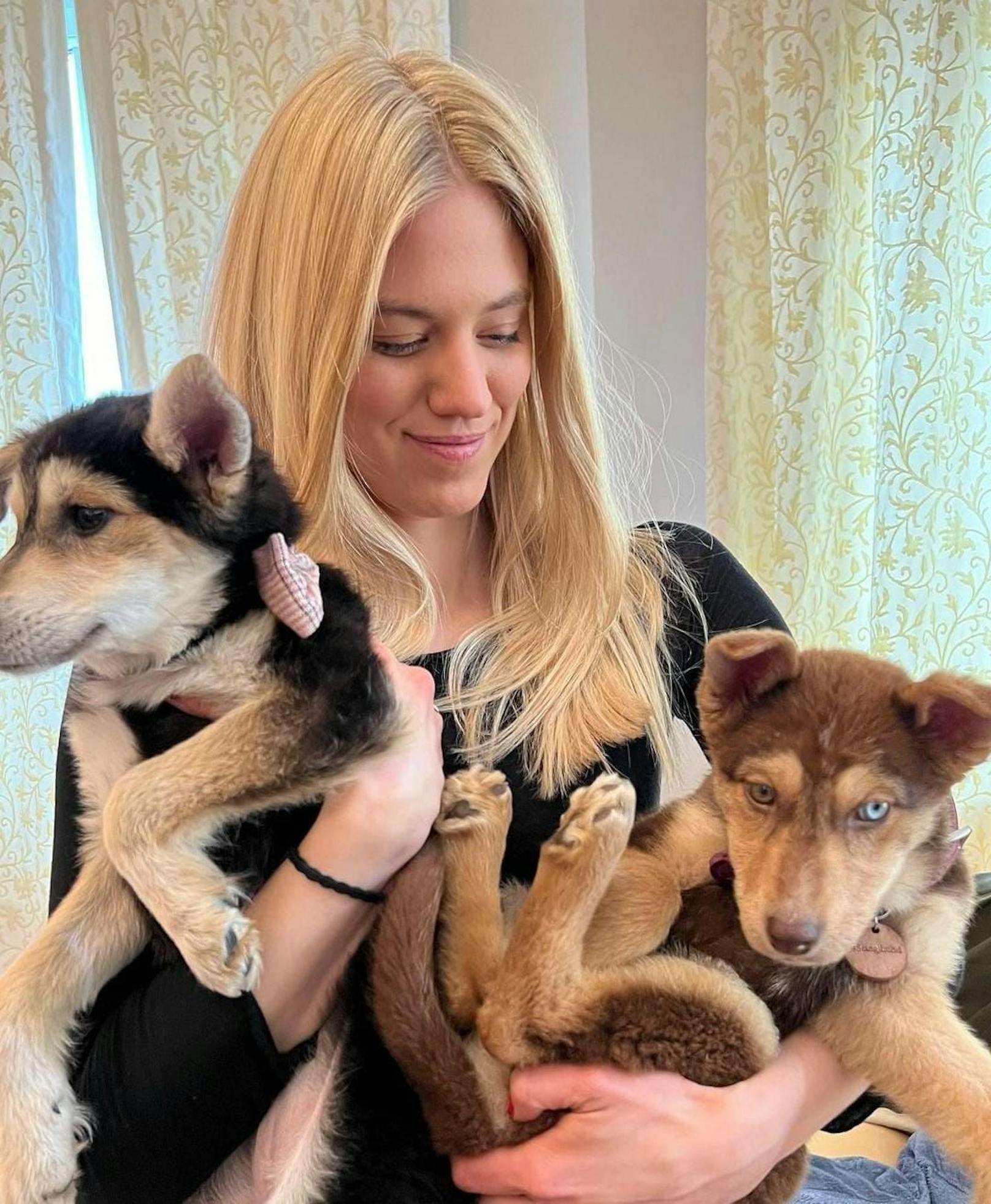 Larissa Marolt rettete bosnische Straßenhunde