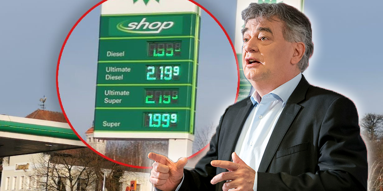 Vizekanzler Werner Kogler hegt angesichts der hohen Spritpreise einen düsteren Verdacht.