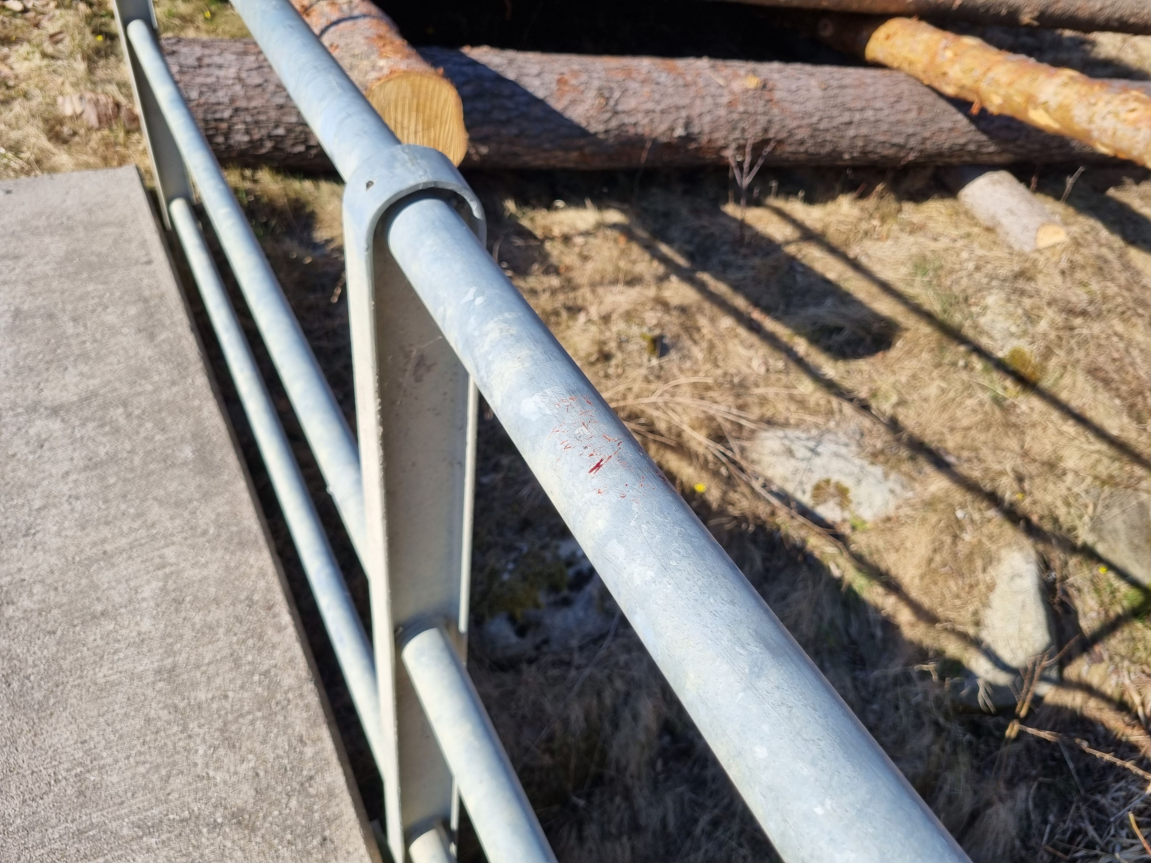 In Wartberg ob der Aist wurde ein Vogel an ein Brückengeländer geklebt.