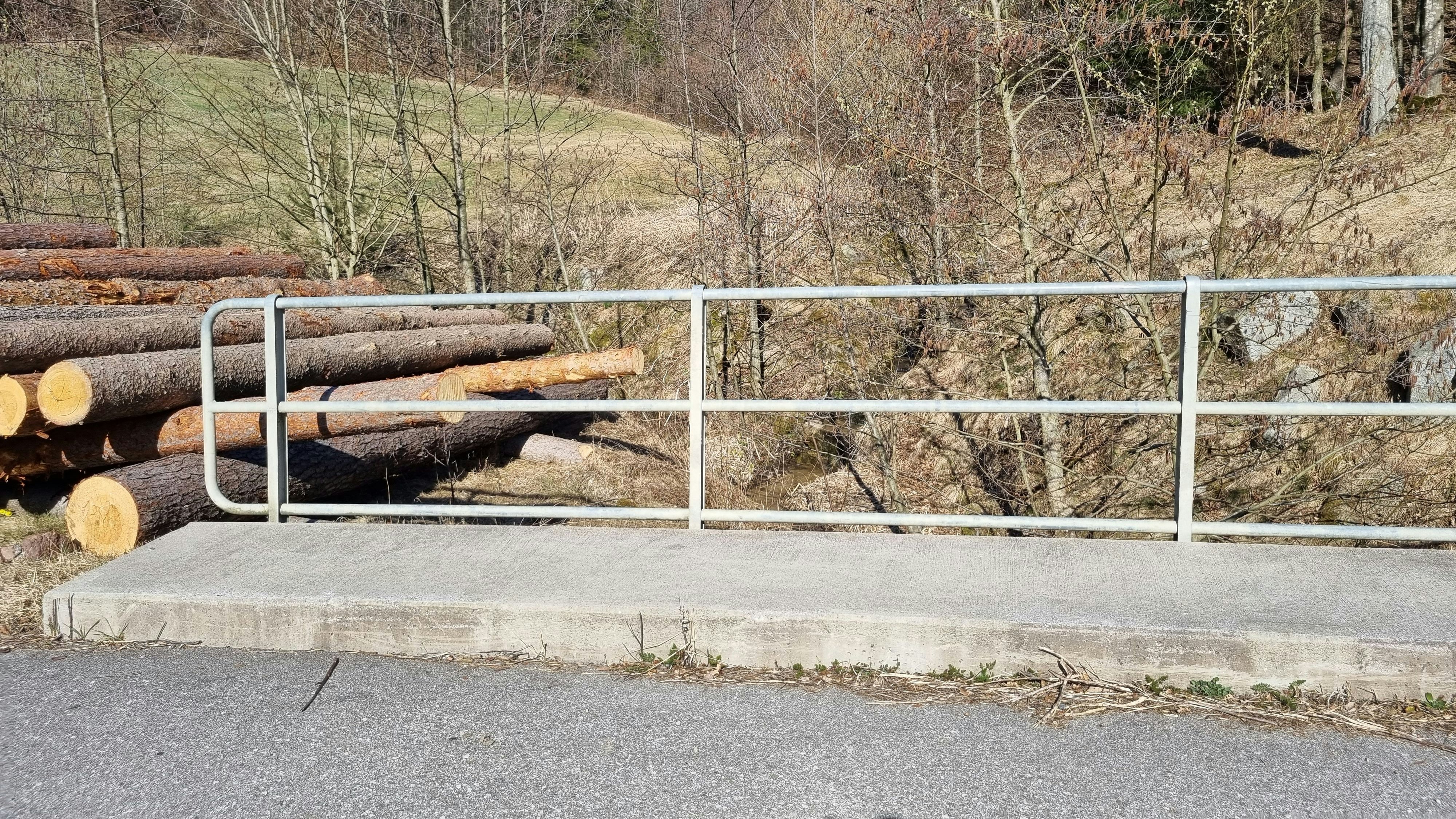 Hier wurde der Vogel gefunden.
