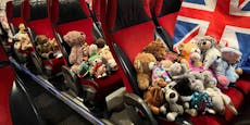 3000 Teddybären schenkten Flüchtlingskindern ein Lachen
