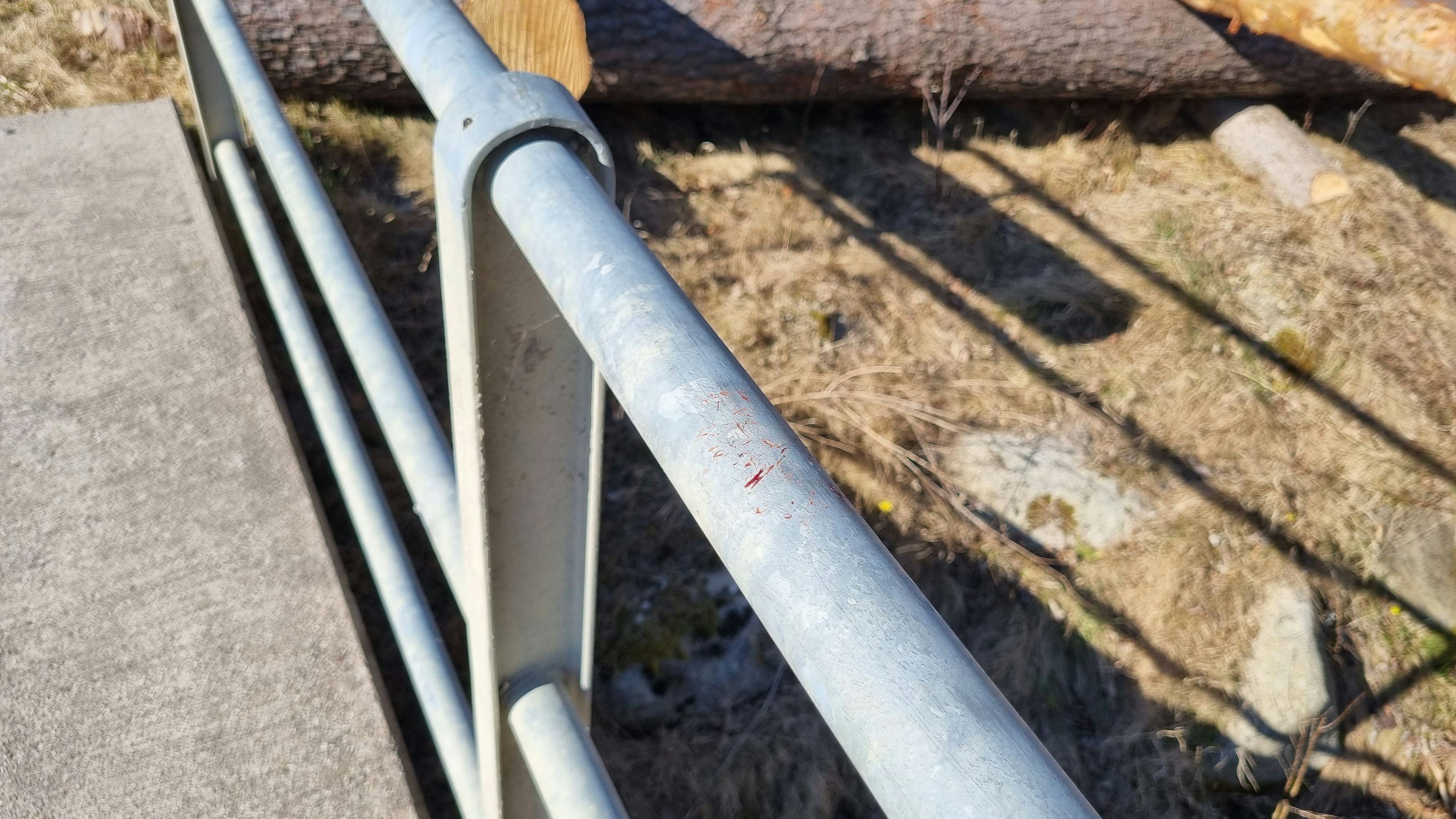 Bisher Unbekannten klebten Vogel mit Superkleber an ein Brückengeländer.