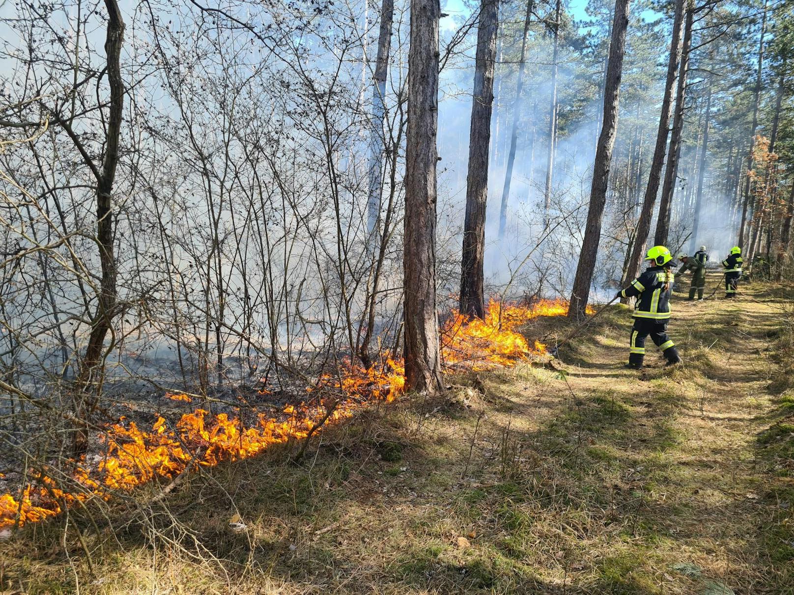 Weil es durch die Dürre leicht zu Waldbränden kommt (auf dem Bild ein Brand aus NÖ), wurde das Rauchverbot von der BH verhängt.