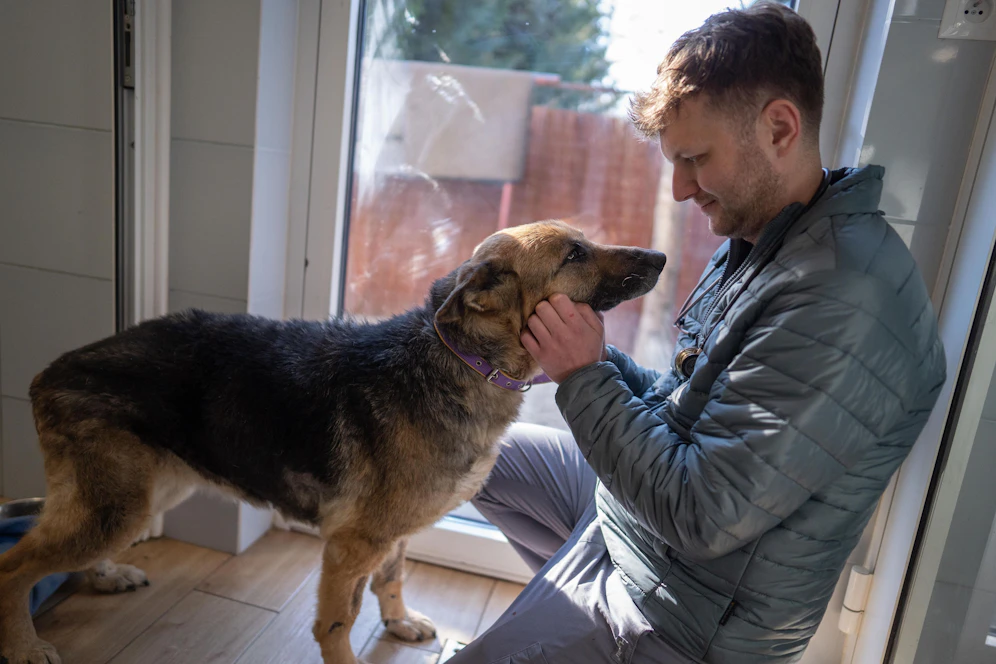 Der 32-jährige Tierarzt Jakub Kotowicz rettete mittlerweile schon 200 Katzen und 60 Hunde aus der Ukraine. 