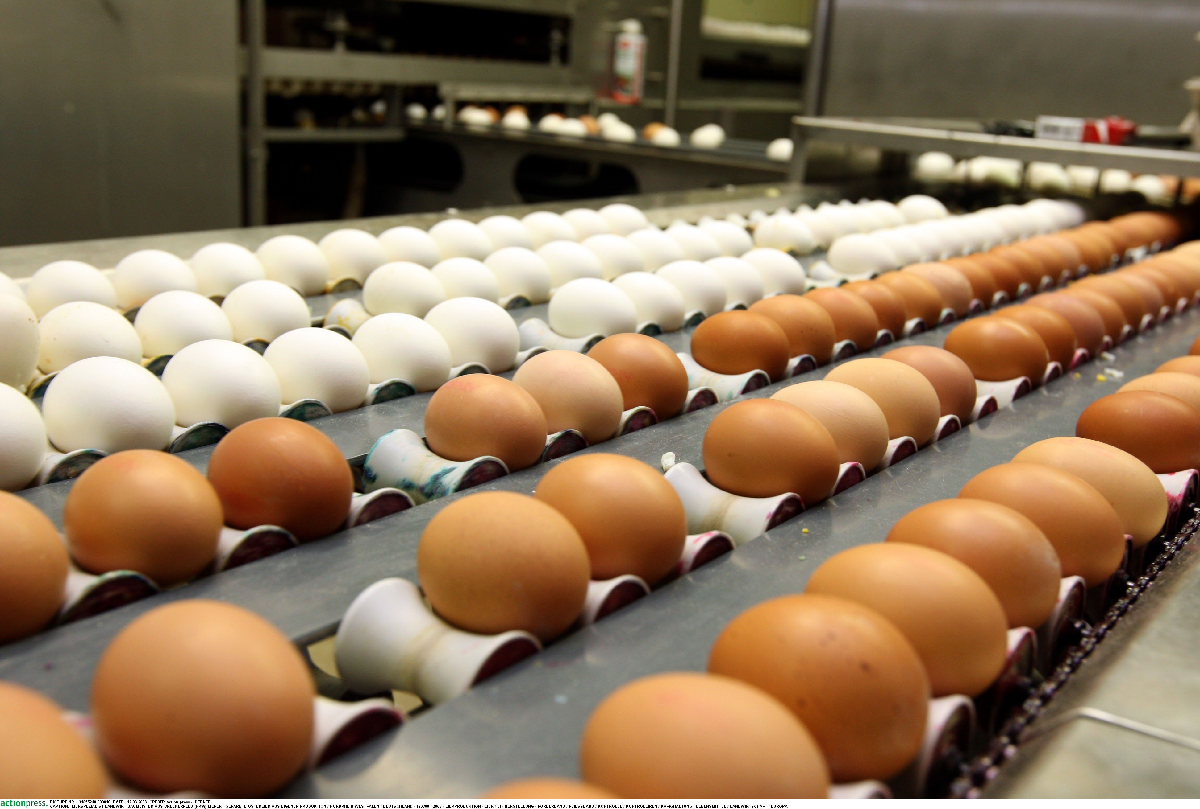 Eier könnten jetzt um bis zu 5 Cent pro Stück teurer werden.