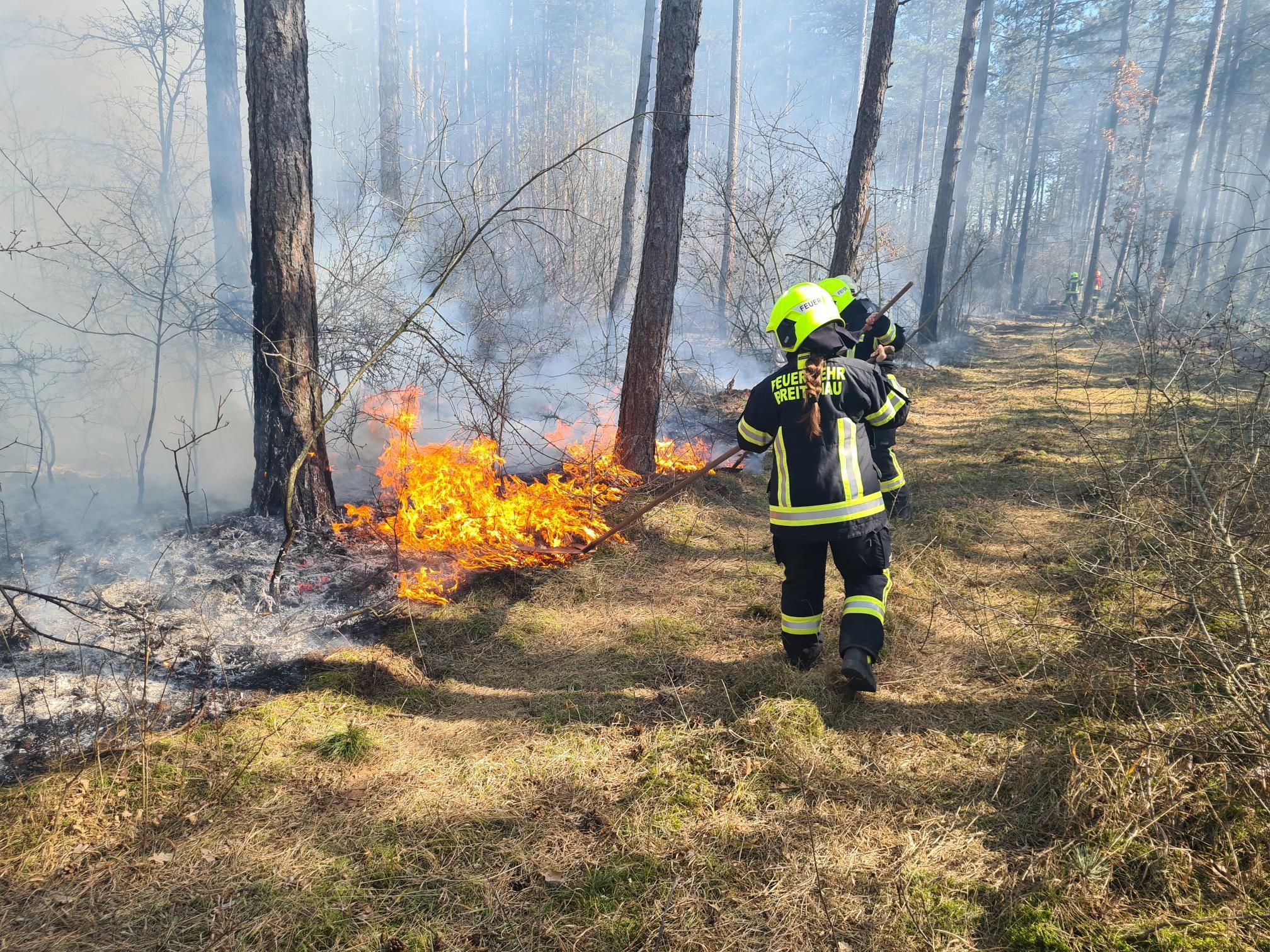 Waldbrand Föhrenau