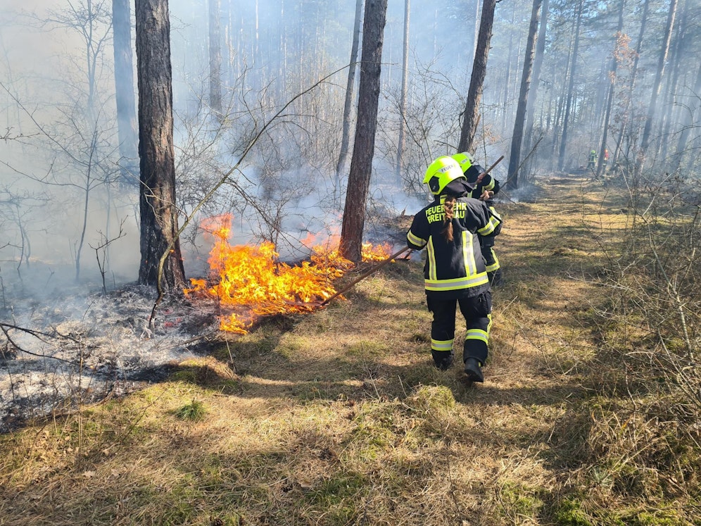 Waldbrand Föhrenau