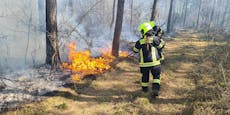 20 Notrufe nach Waldbrand im Bezirk Neunkirchen