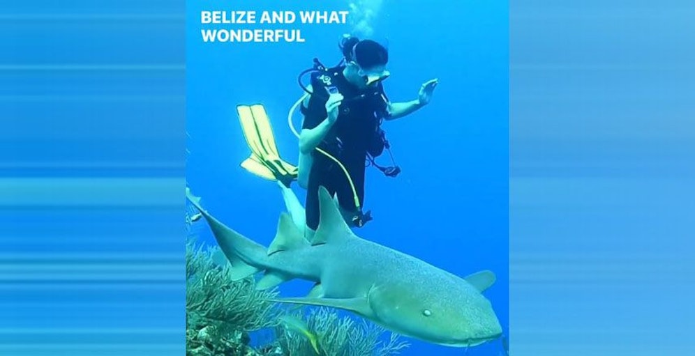 Herzogin Kate taucht in der Karibik