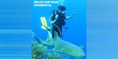 Gefährlich nah – Kate und William tauchen mit Haien
