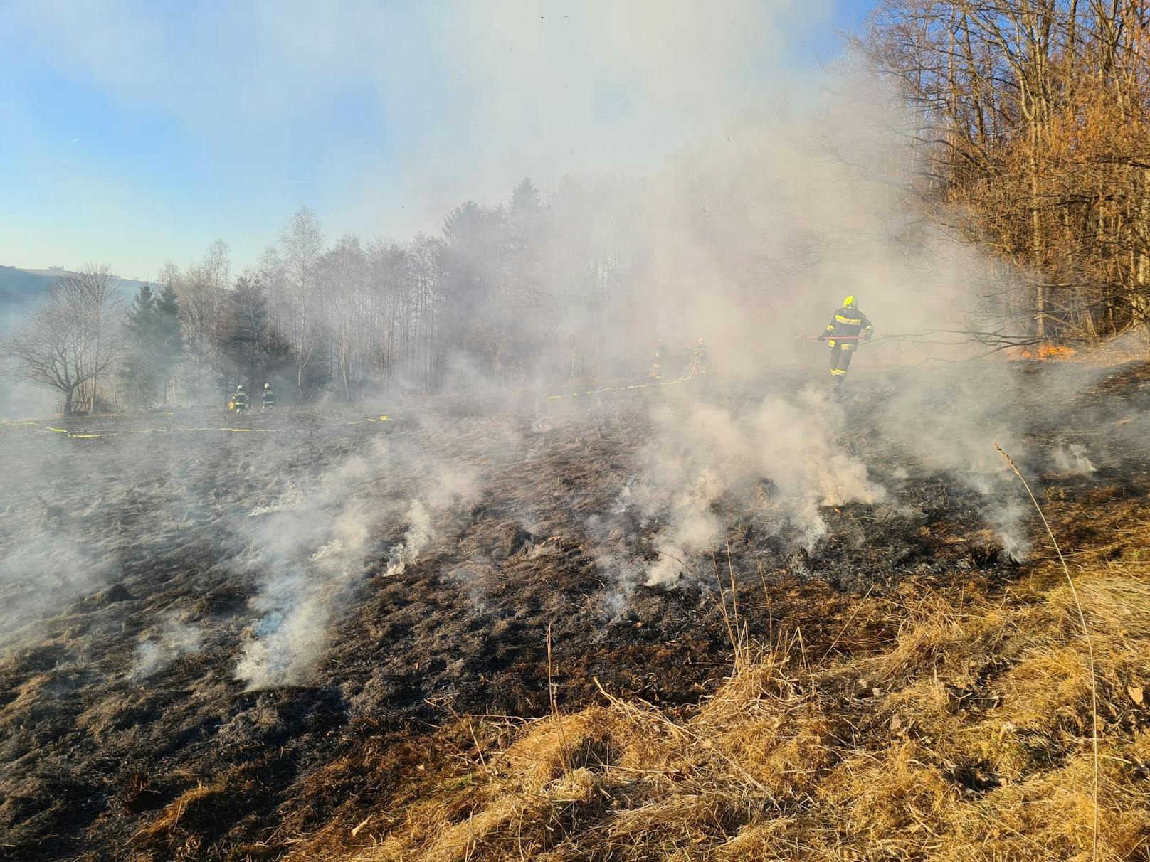 Wind erschwerte Löscharbeiten bei Feldbrand.