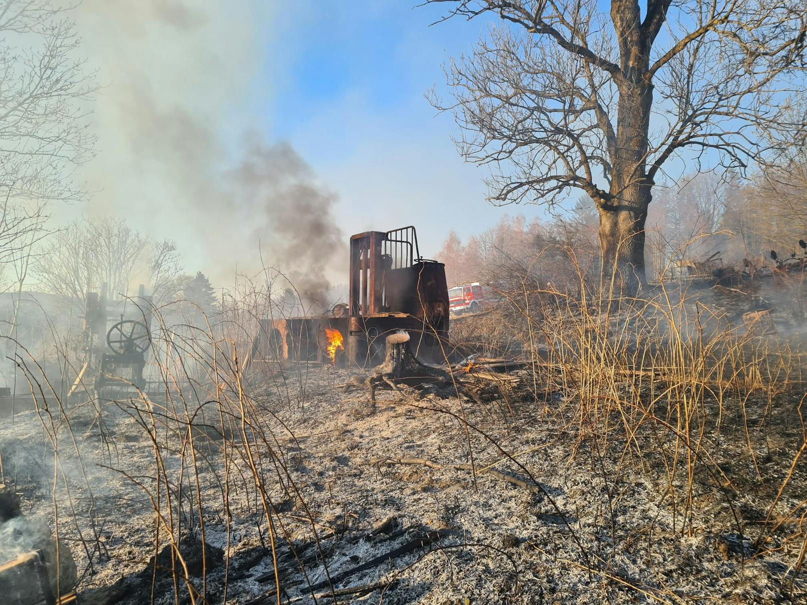 Wind erschwerte Löscharbeiten bei Feldbrand.