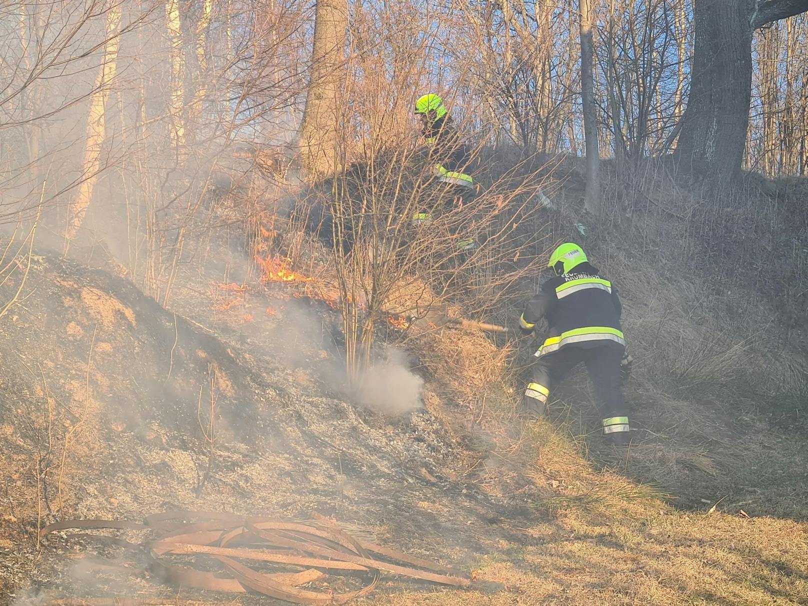 Wind erschwerte Löscharbeiten bei Feldbrand.