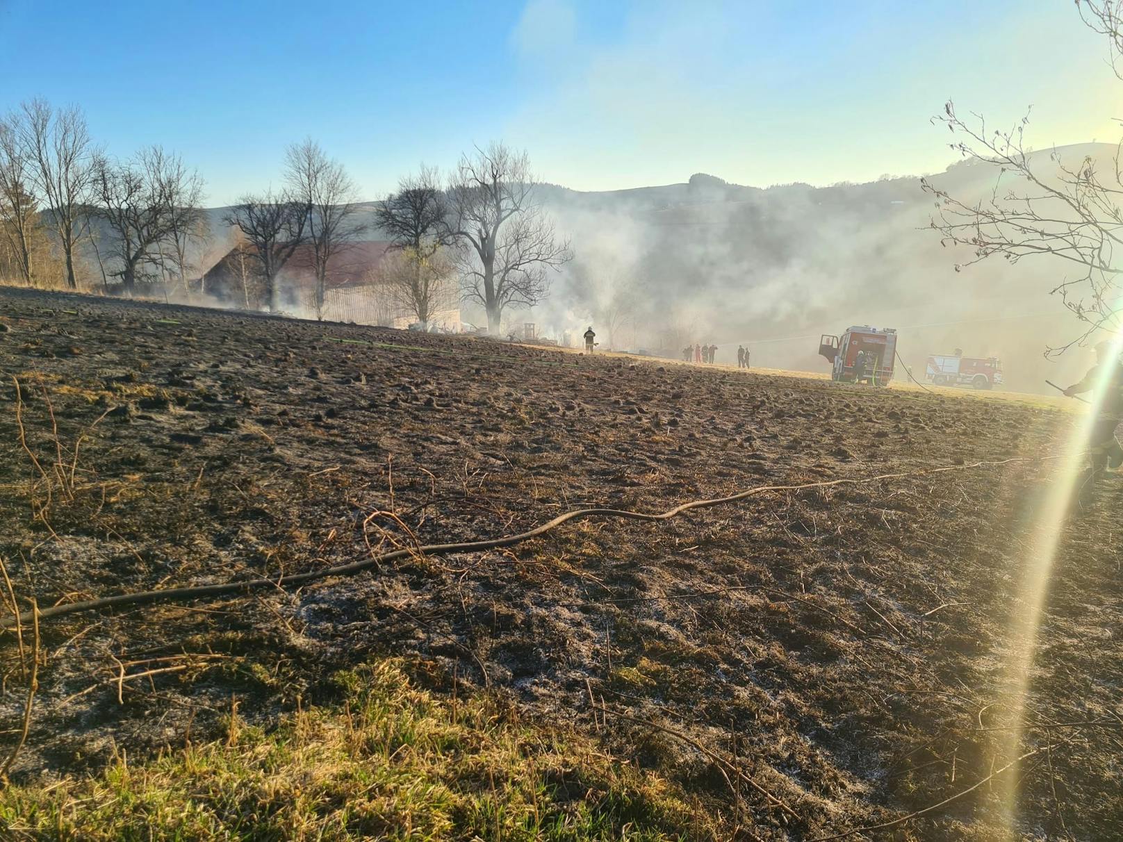 Wind erschwerte Löscharbeiten bei Feldbrand.