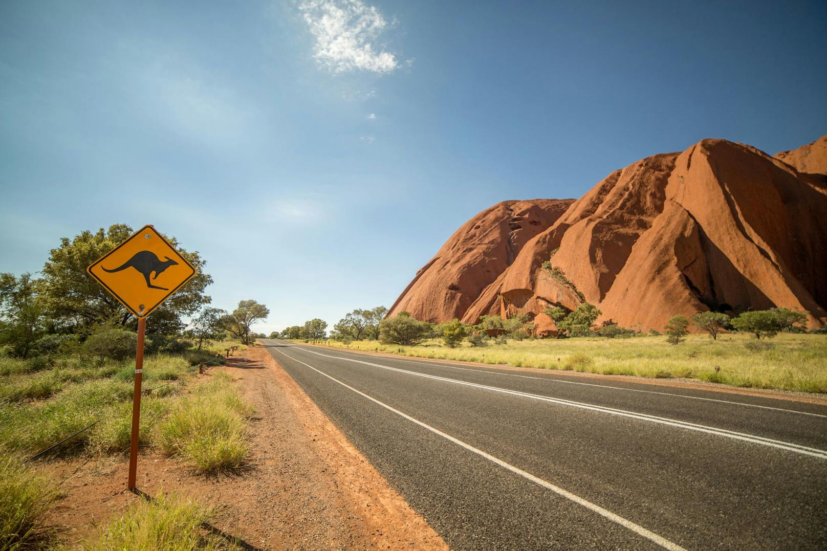 Welche Tiere beißen in Australien am häufigsten?