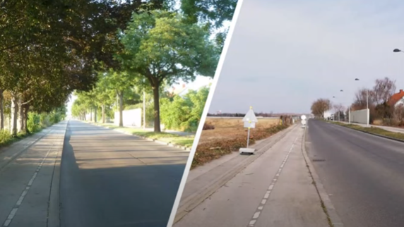 Ein Wiener Schüler 14 zeigt in einem YouTube-Video, was er von den Baumfällungen durch die Stadt hält.