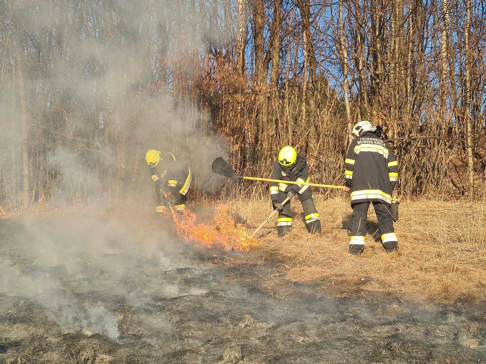 Wind erschwerte Löscharbeiten bei Feldbrand.