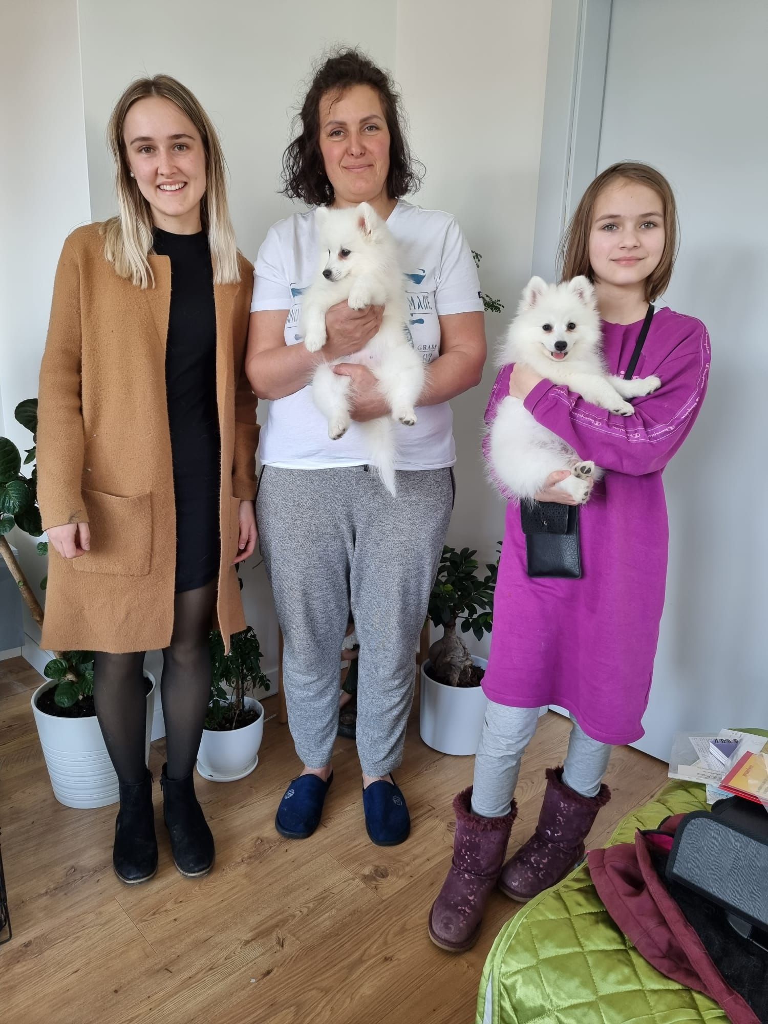 Vier Hunde konnten von den Frauen aus NÖ gerettet werden.