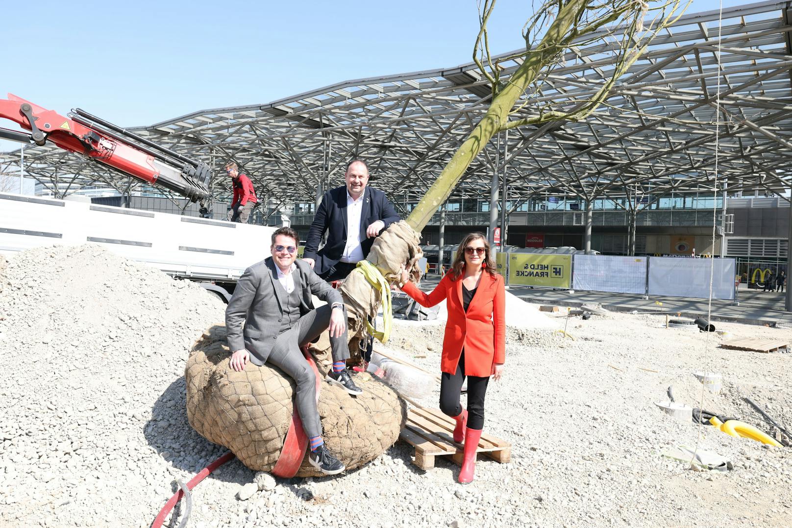 Begrüßt wurden die XXL-Platanen durch (v.l.n.r.:) Klimastadtrat Jürgen Czernohorszky, Bezirkschef Alexander Nikolai und Planungsstadträtin Ulli Sima (alle SPÖ).