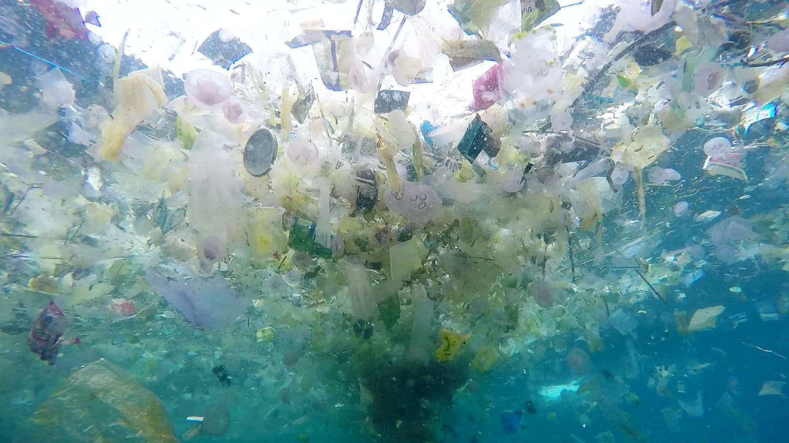 Plastikmüll wird im Meer in kleinste Partikel zerrieben.