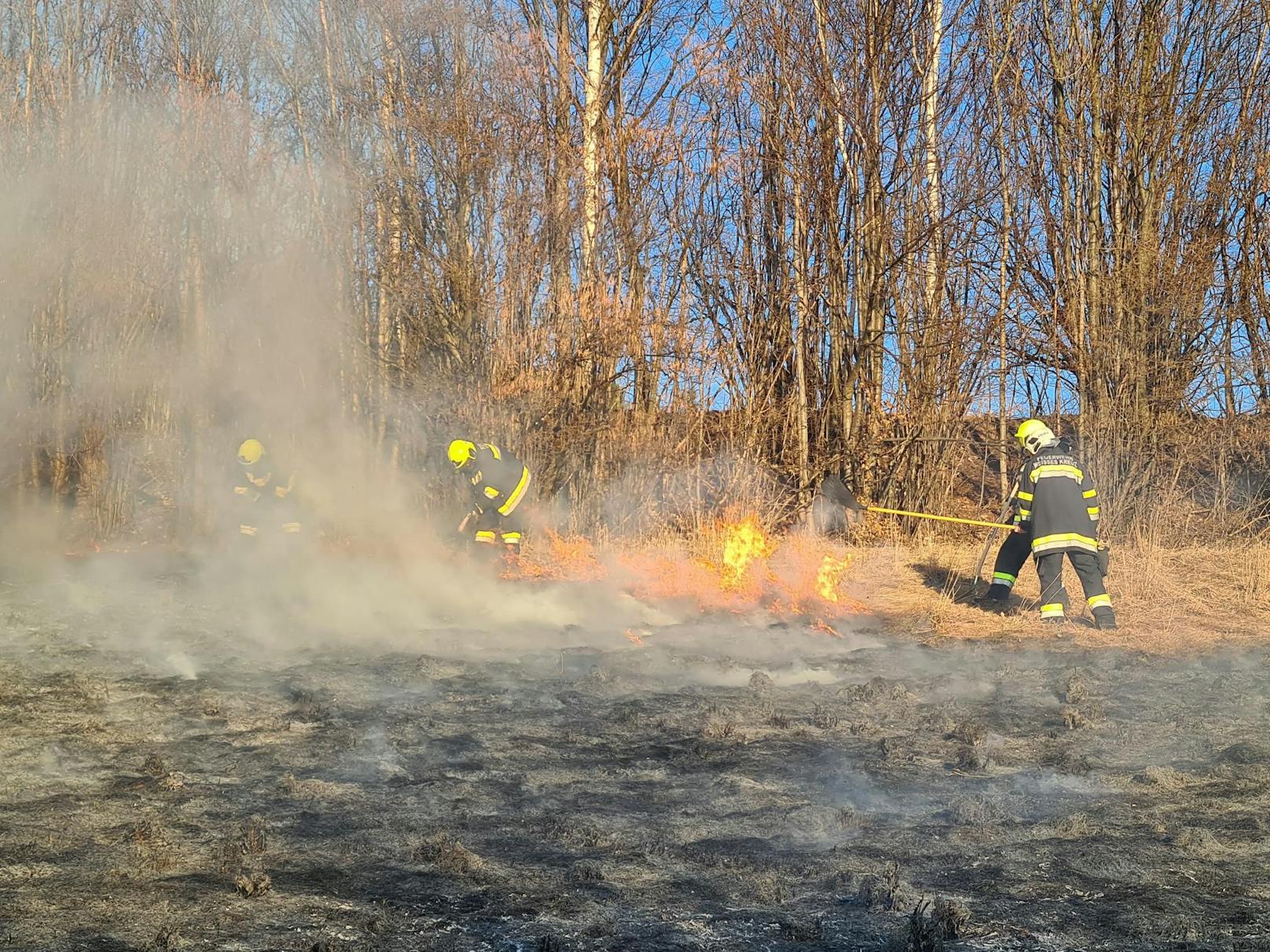 Wind erschwerte Löscharbeiten bei Feldbrand.