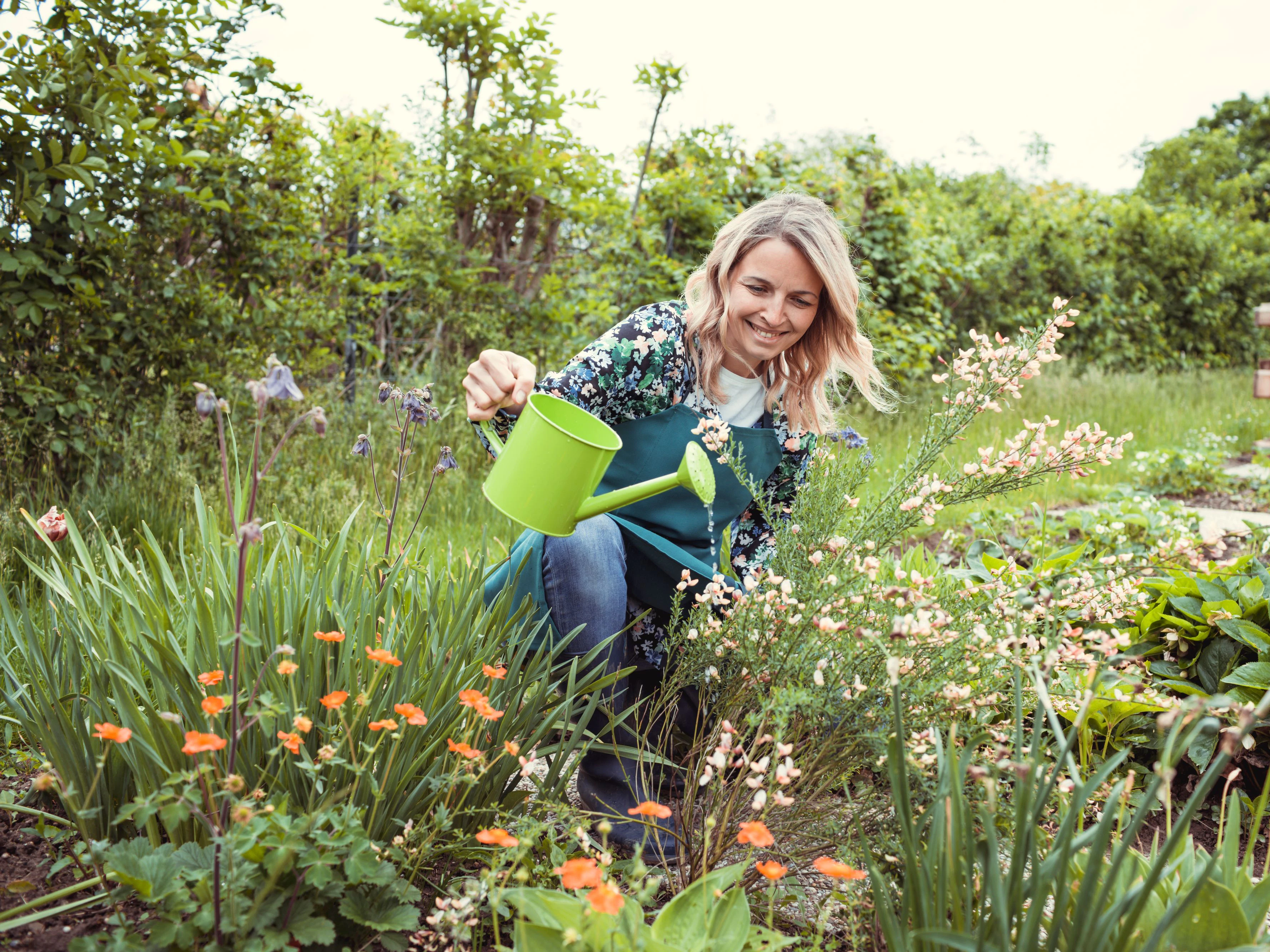 pretty blonde gardener working in garden with flowers and wearing green work apron