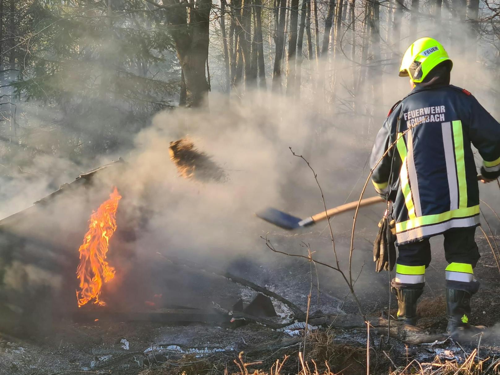 Feld in Flammen, Übergreifen auf Wald knapp verhindert