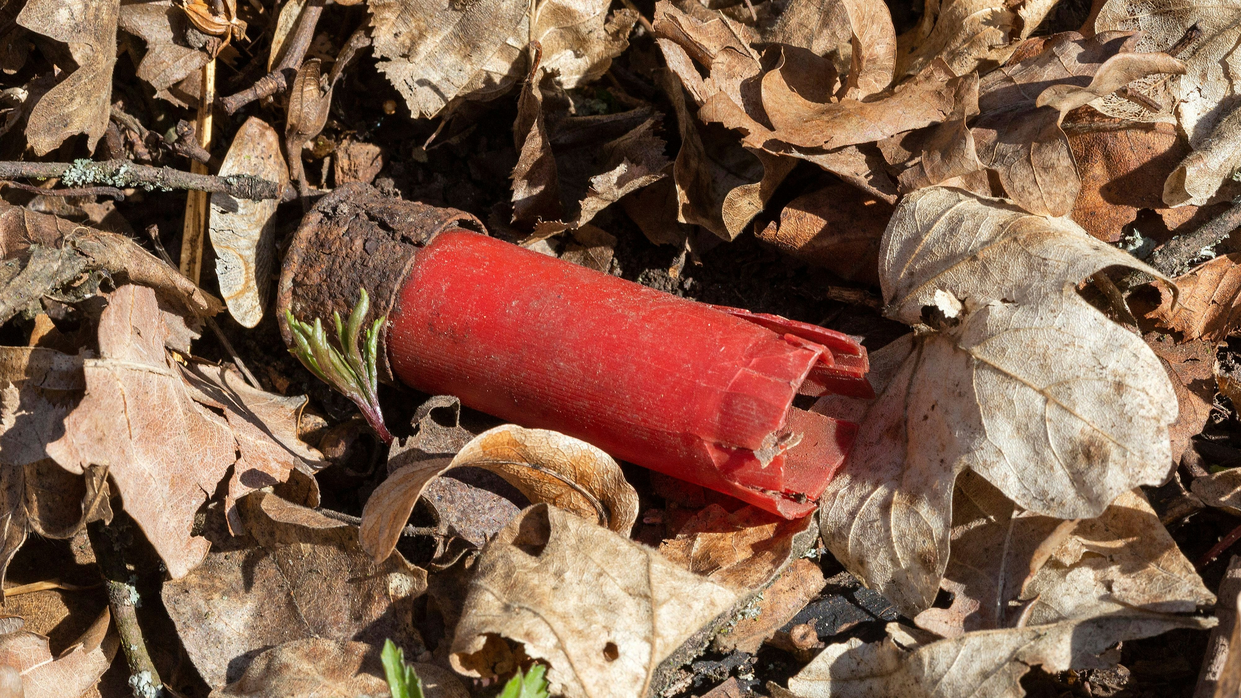 Der Bub fand Jagdmunition, erhitzte sie mit einem Feuerzeug – Explosion!
