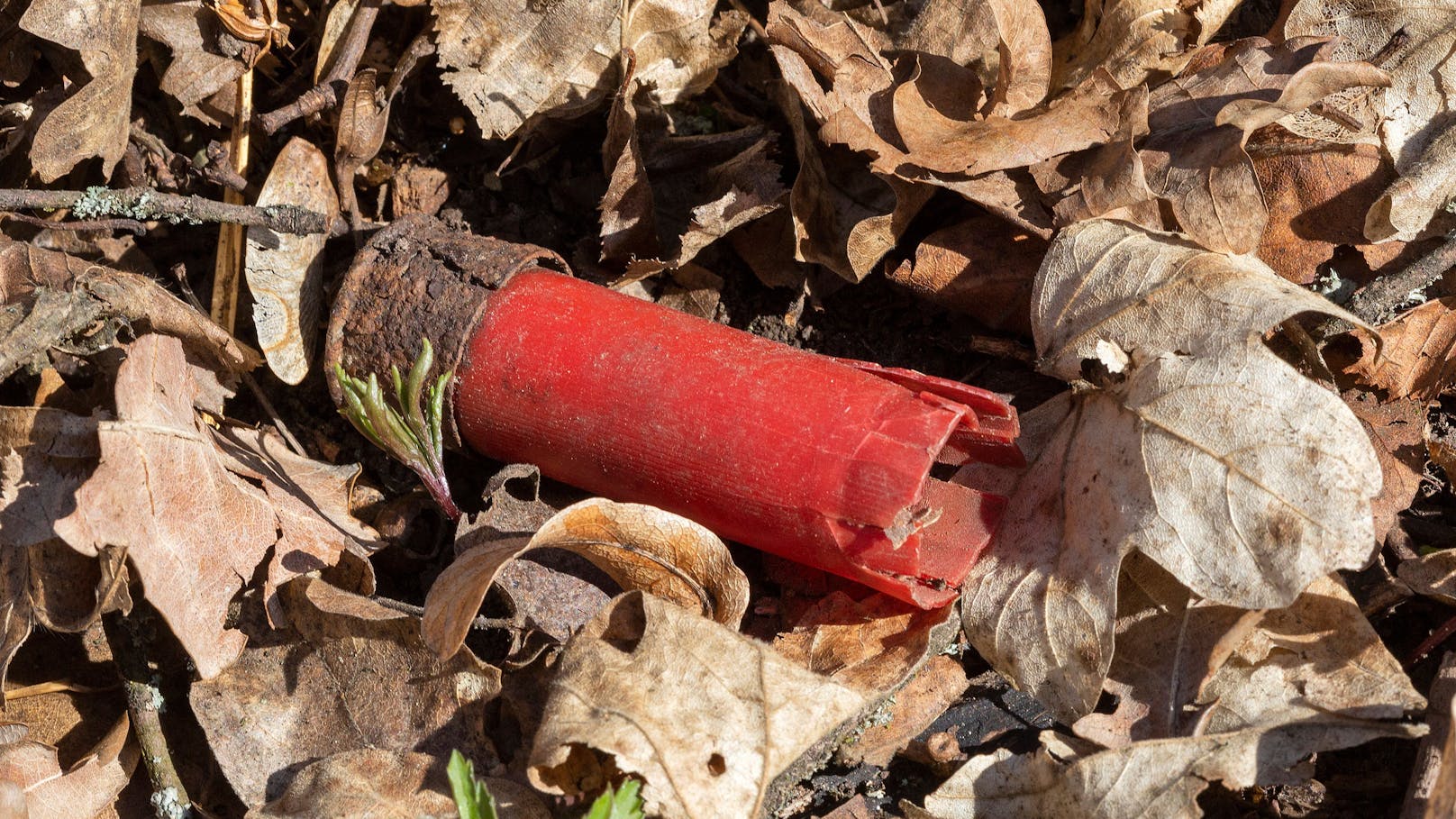 Der Bub fand Jagdmunition, erhitzte sie mit einem Feuerzeug – Explosion! (Symbolfoto)