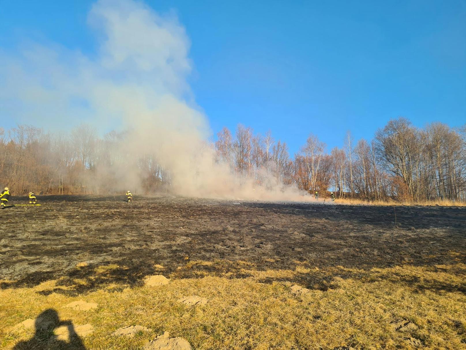 Wind erschwerte Löscharbeiten bei Feldbrand.