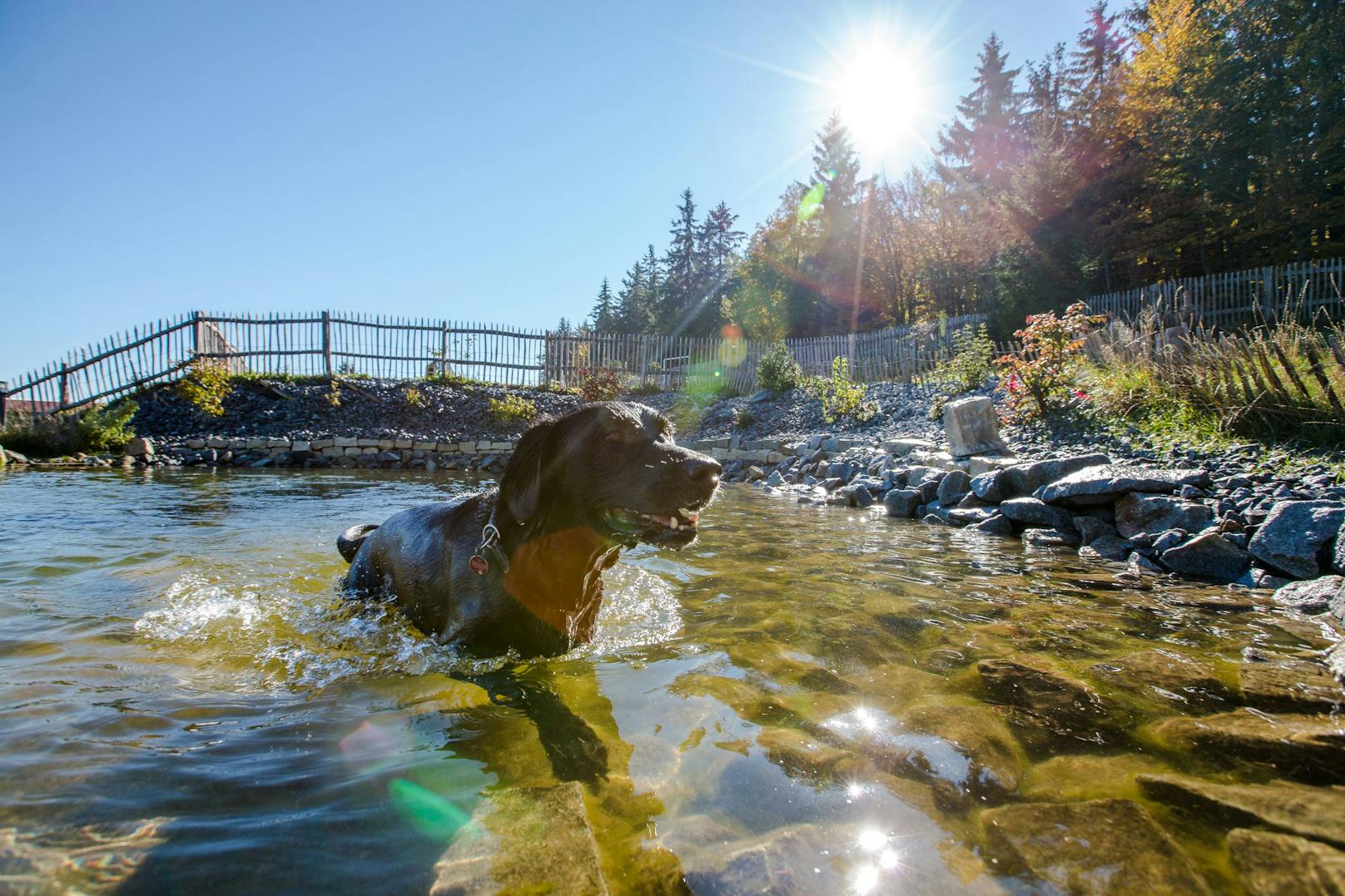 <strong>Platz 2</strong>: Hunderesort Waldeck in Philippsreut (Bayern) --- <a rel="nofollow" href="https://www.hundehotel.info/hunderesort-waldeck">HIER GEHTS ZUM HOTEL</a>