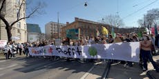 Tausende ziehen jetzt gegen Klimakrise quer durch Wien