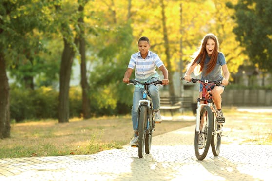 Geizhals.at: Steigende Radpreise – E-Bikes werden um bis zu 32 Prozent teurer.
