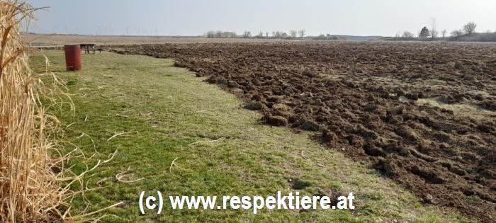 Wegen Ackerarbeiten sollen dutzende Ziesel gestorben sein.